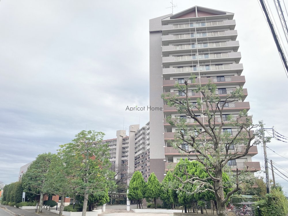 マンション